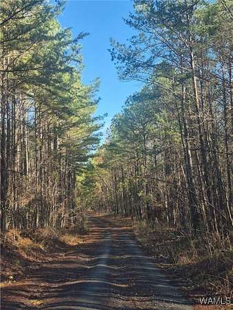 33.4 Acres of Recreational Land for Sale in Brookwood, Alabama