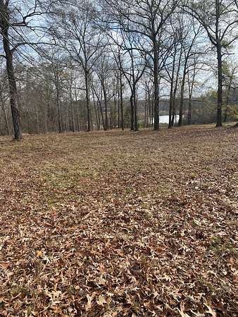 0.71 Acres of Residential Land for Sale in Hawkinsville, Georgia