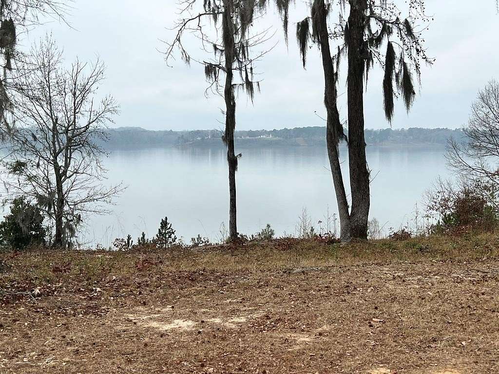 0.31 Acres of Residential Land for Sale in Georgetown, Georgia