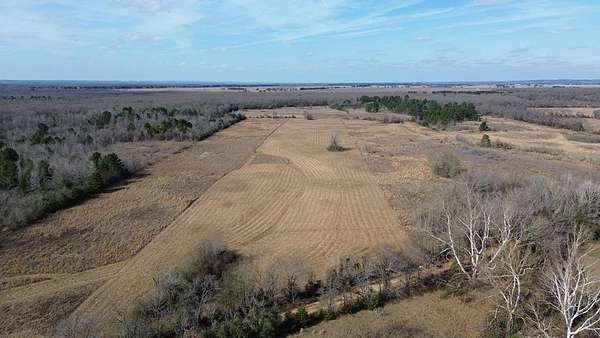 12.5 Acres of Land for Sale in Grapeland, Texas