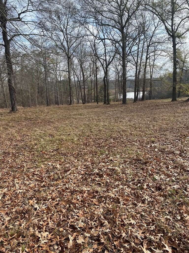 0.97 Acres of Residential Land for Sale in Hawkinsville, Georgia