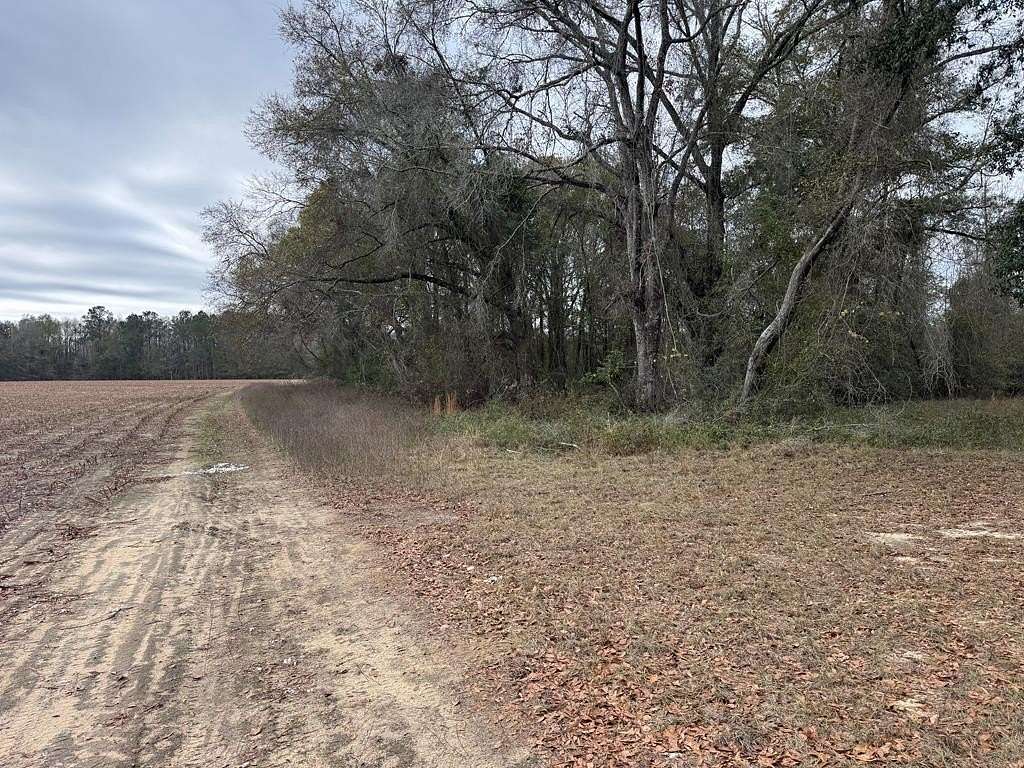 31 Acres of Land for Sale in Slocomb, Alabama