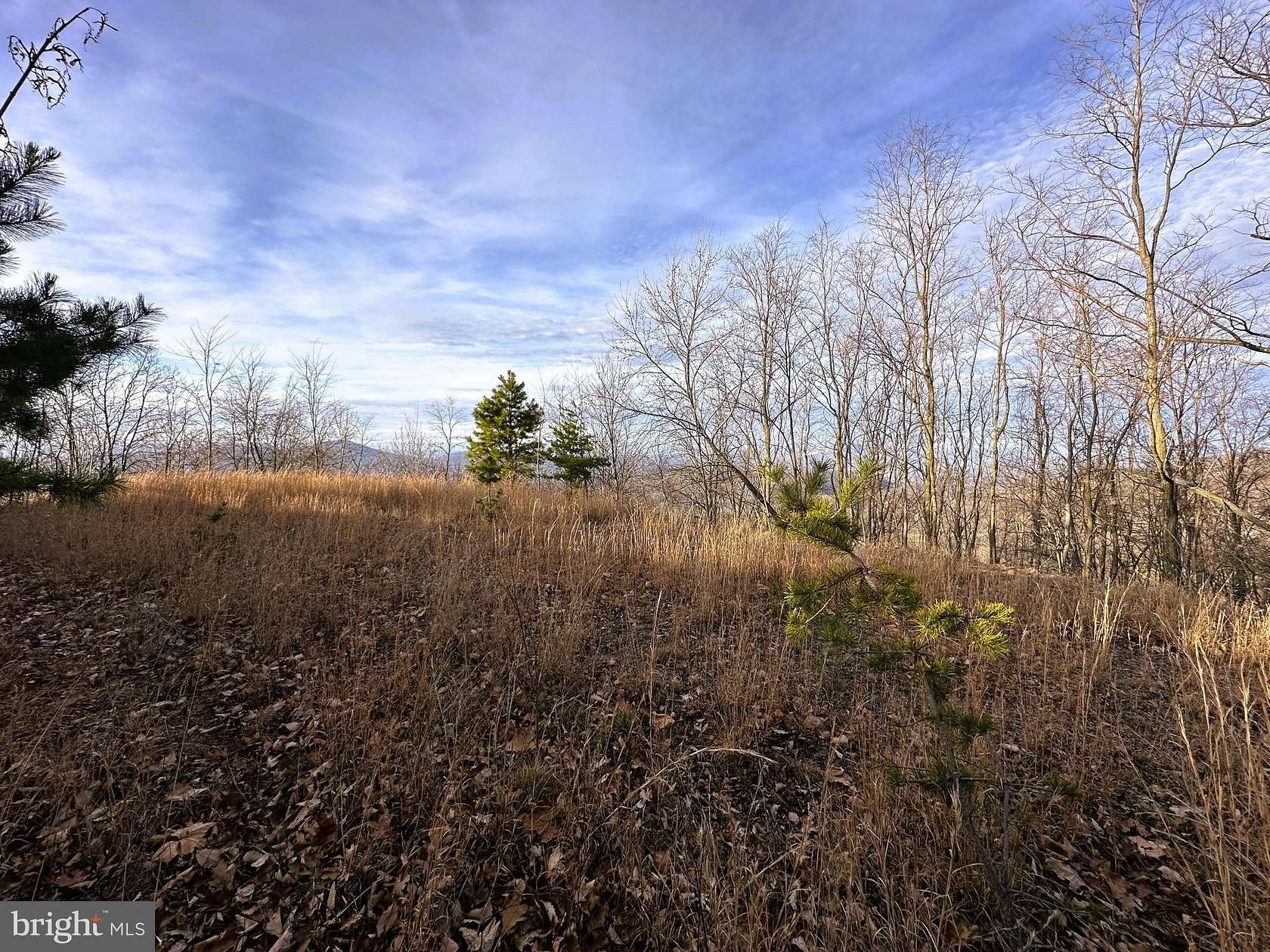 20.4 Acres of Recreational Land for Sale in Moorefield, West Virginia