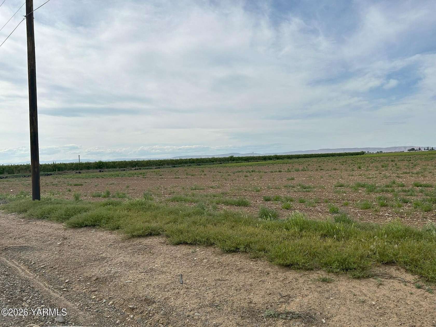 74.5 Acres of Agricultural Land for Sale in Wapato, Washington