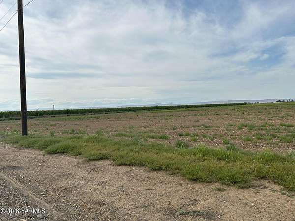 74.5 Acres of Agricultural Land for Sale in Wapato, Washington