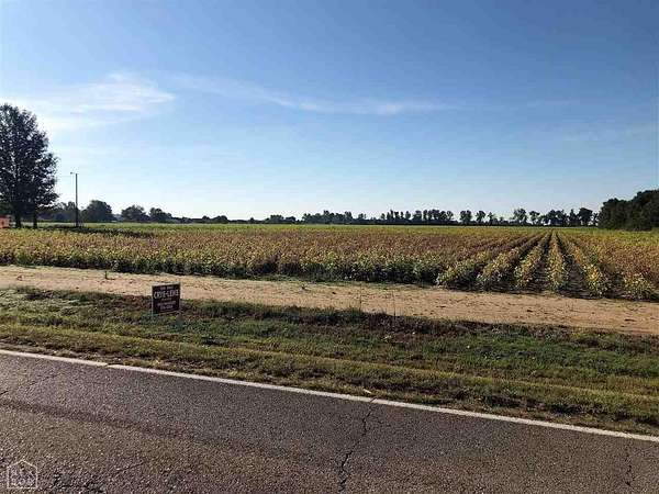 39.1 Acres of Land for Sale in Trumann, Arkansas