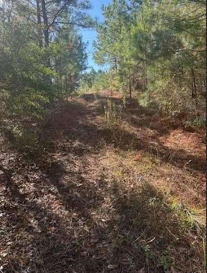 16.5 Acres of Recreational Land for Sale in Milam, Texas