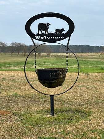 10 Acres of Land with Home for Sale in Many, Louisiana