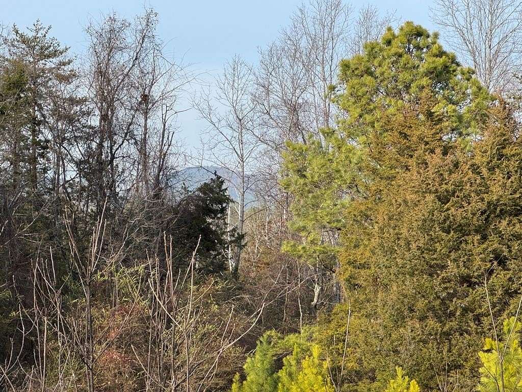 42.7 Acres of Recreational Land for Sale in Appomattox, Virginia