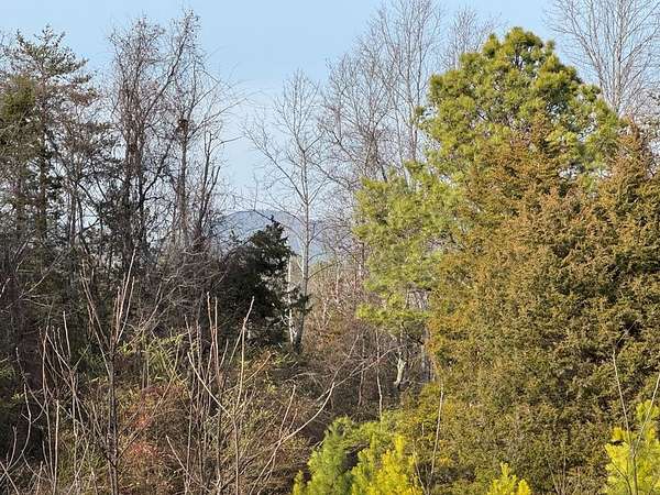 42.7 Acres of Recreational Land for Sale in Appomattox, Virginia