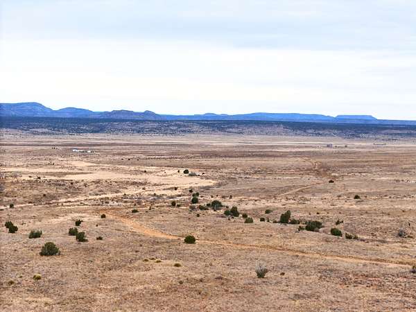 5 Acres of Land for Sale in Conchas, New Mexico