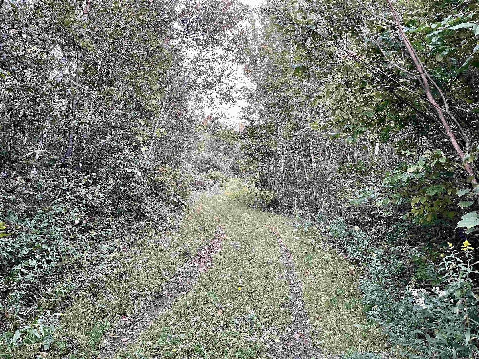 63.8 Acres of Recreational & Residential Land for Sale in Norwood, New York