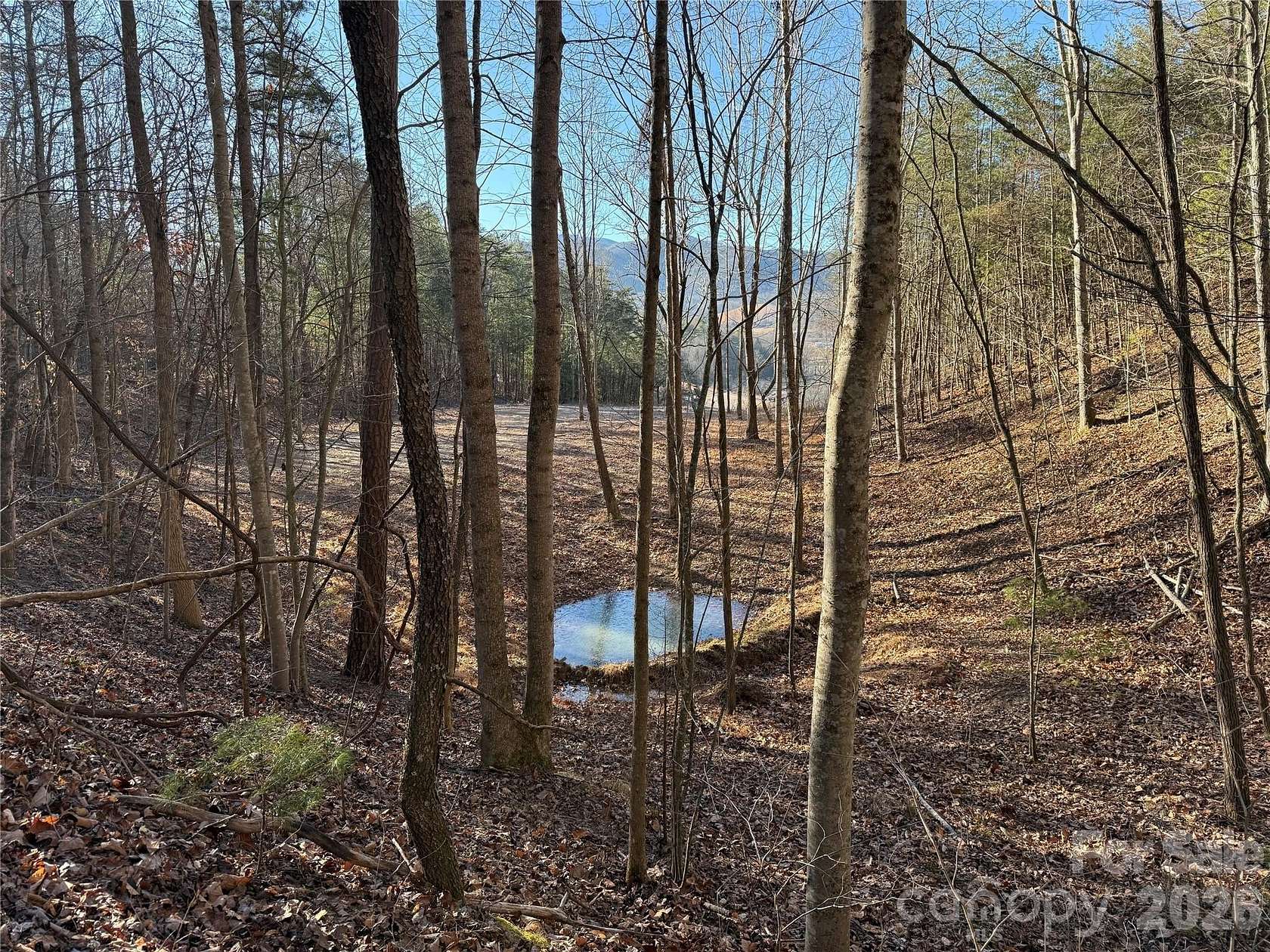 10 Acres of Residential Land for Sale in Hot Springs, North Carolina