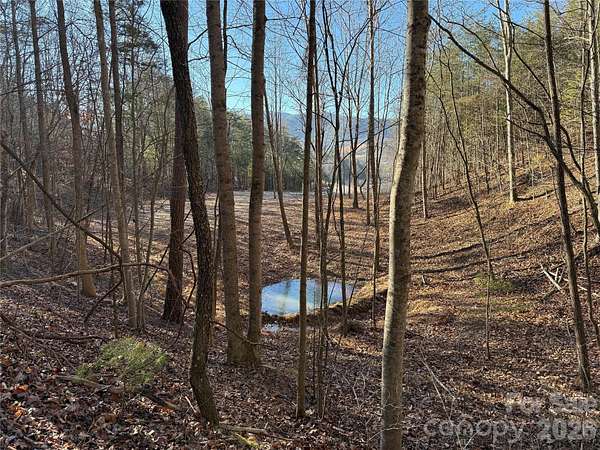 10 Acres of Residential Land for Sale in Hot Springs, North Carolina
