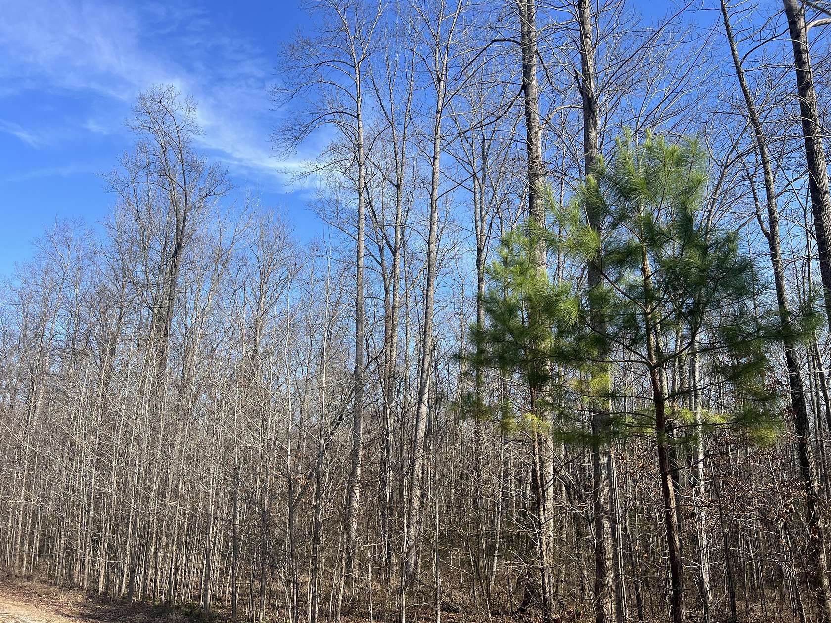 1.3 Acres of Residential Land for Sale in Cedar Grove, Tennessee