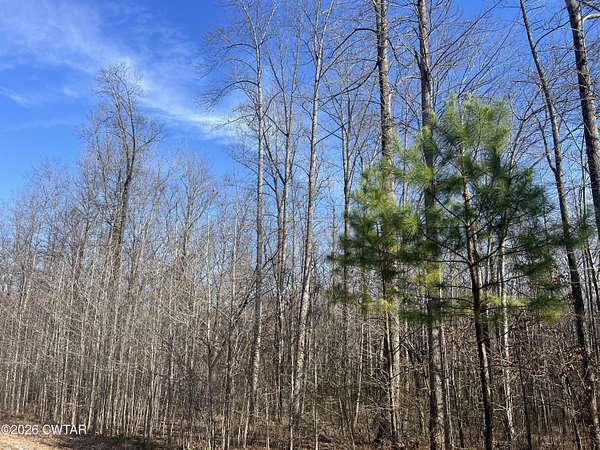 1.3 Acres of Residential Land for Sale in Cedar Grove, Tennessee