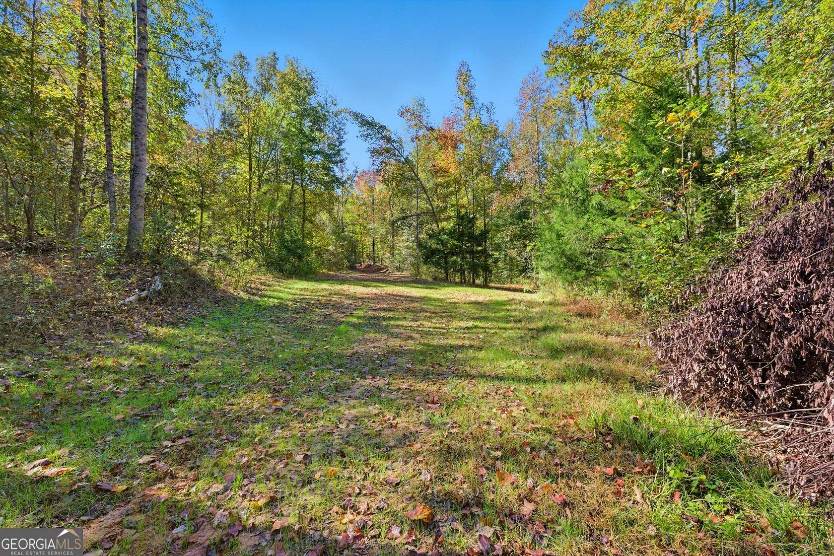 13.5 Acres of Land for Sale in Toccoa, Georgia
