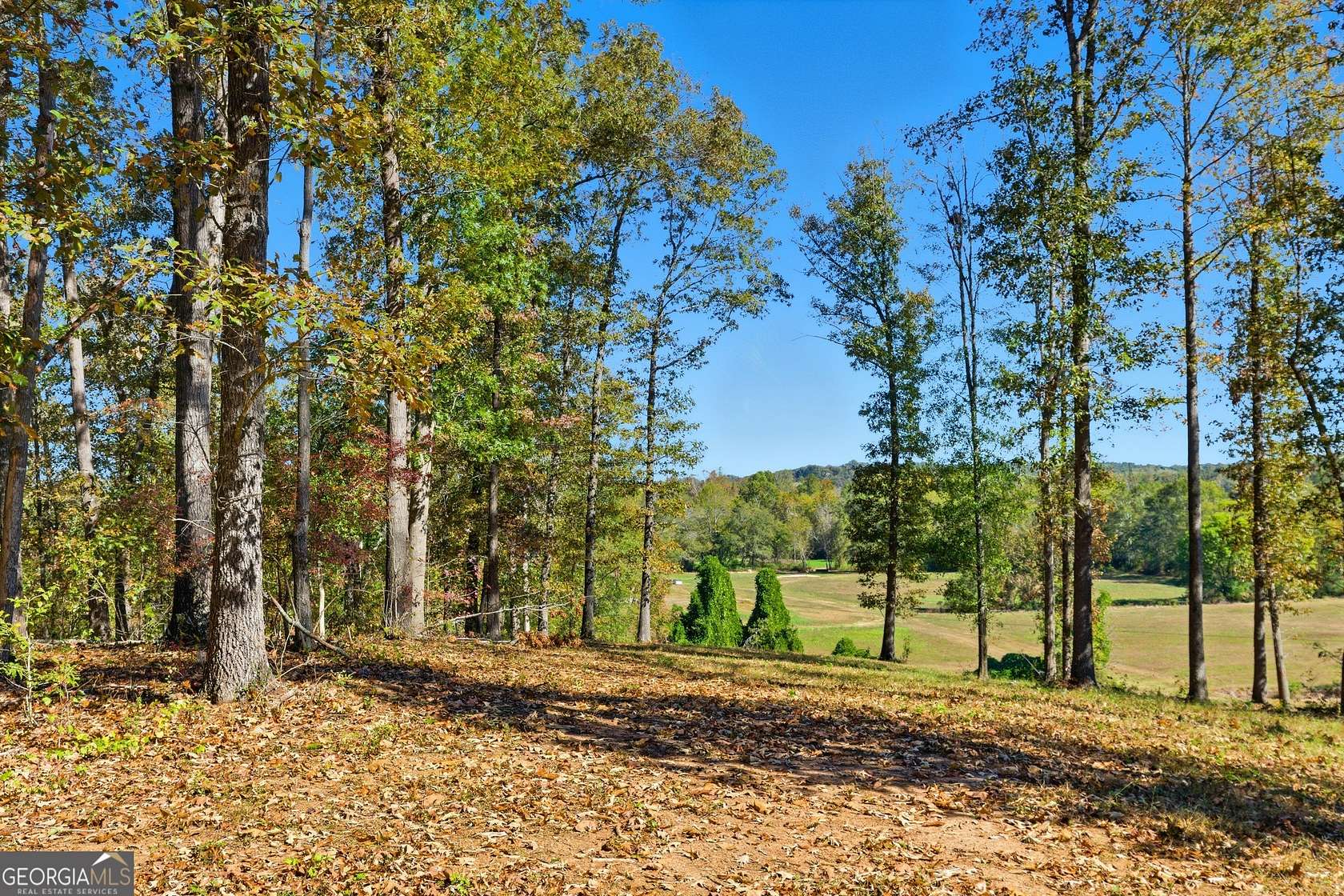 11.8 Acres of Land for Sale in Toccoa, Georgia