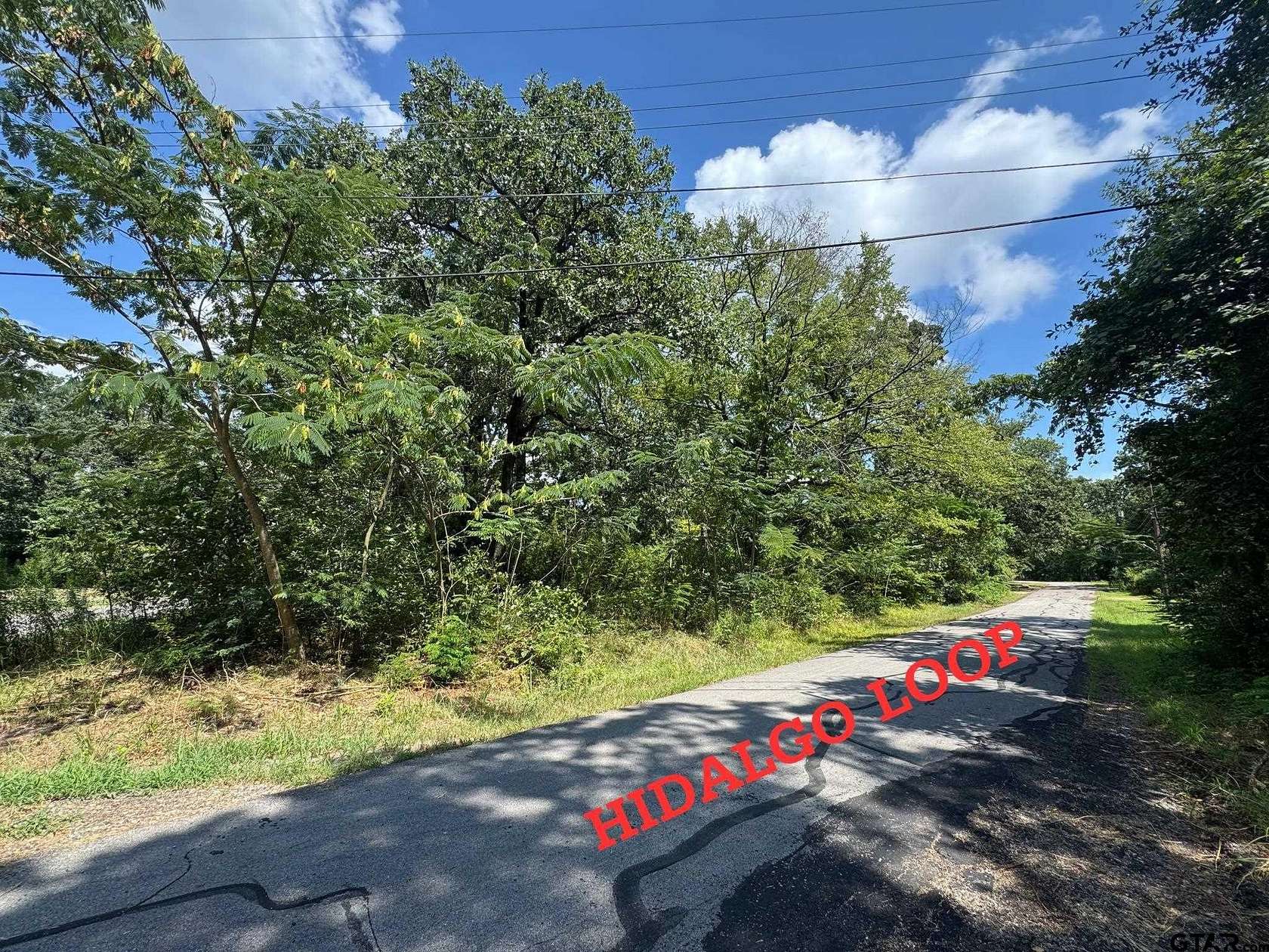 0.14 Acres of Residential Land for Sale in Mabank, Texas