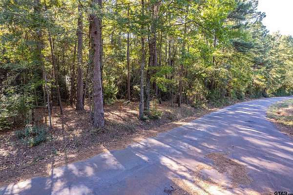 24 Acres of Recreational Land for Sale in Big Sandy, Texas