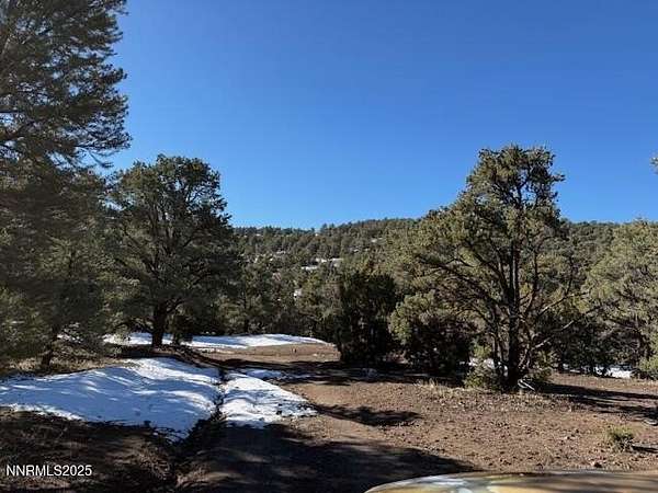 10 Acres of Land for Sale in Reno, Nevada
