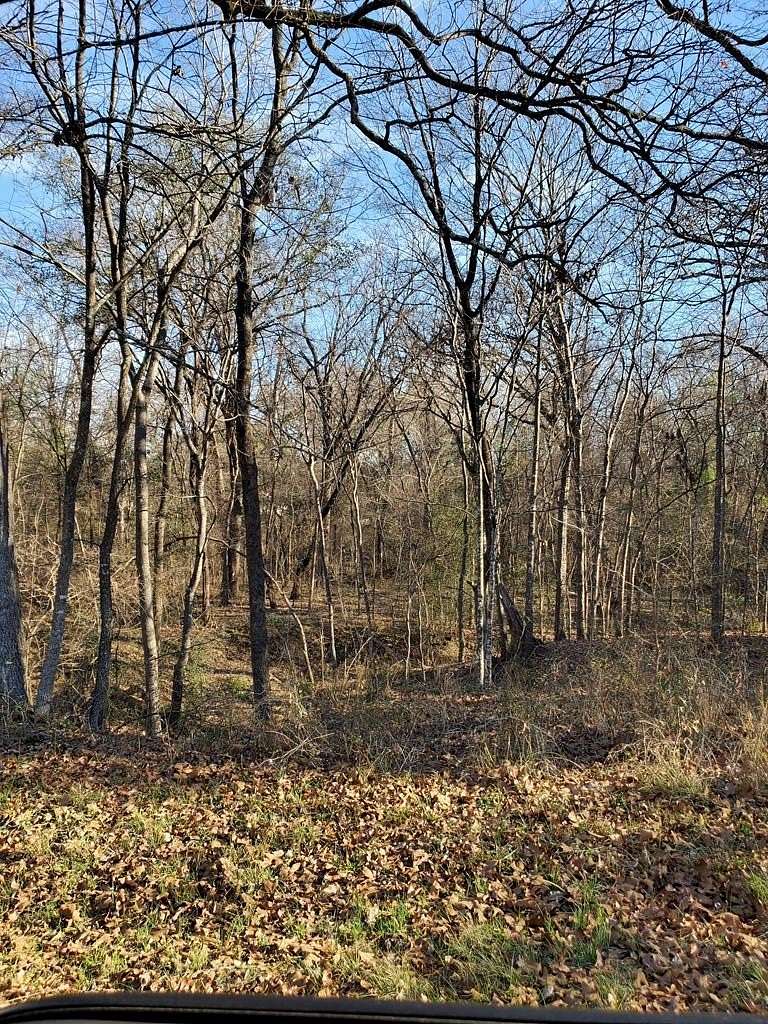 0.5 Acres of Residential Land for Sale in Mabank, Texas