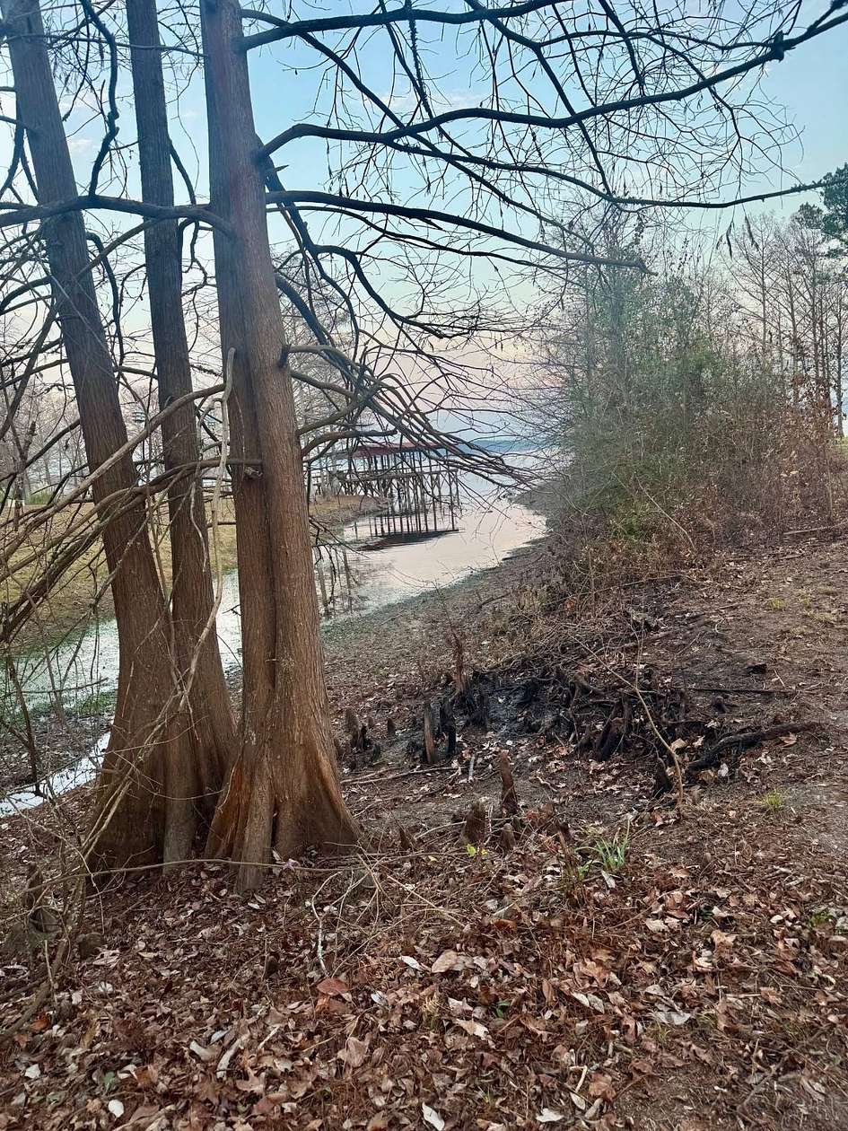 0.48 Acres of Residential Land for Sale in Zwolle, Louisiana