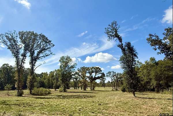 4 Acres of Residential Land for Sale in Frankston, Texas