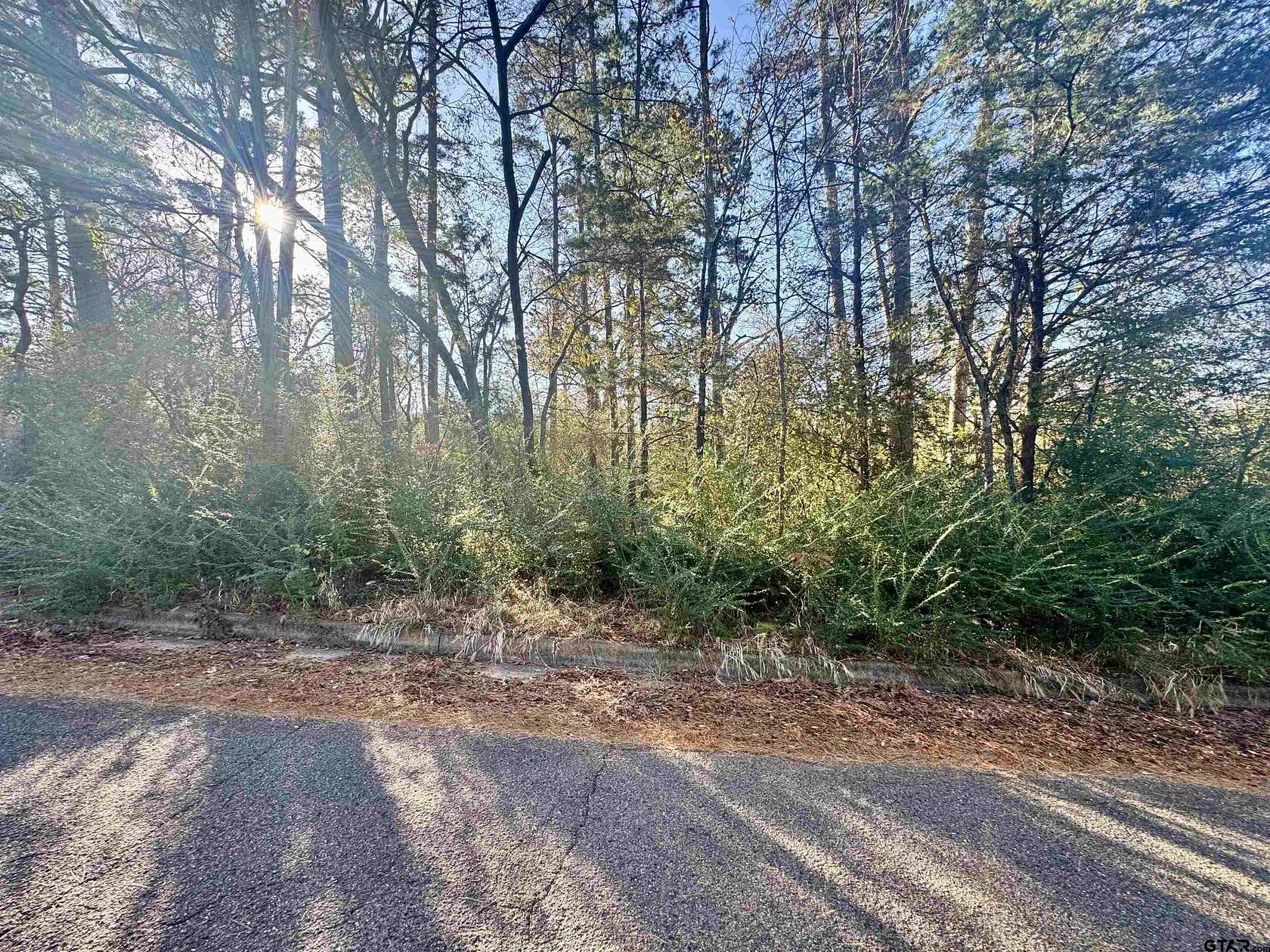 0.74 Acres of Residential Land for Sale in Whitehouse, Texas