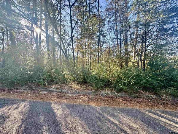 0.74 Acres of Residential Land for Sale in Whitehouse, Texas