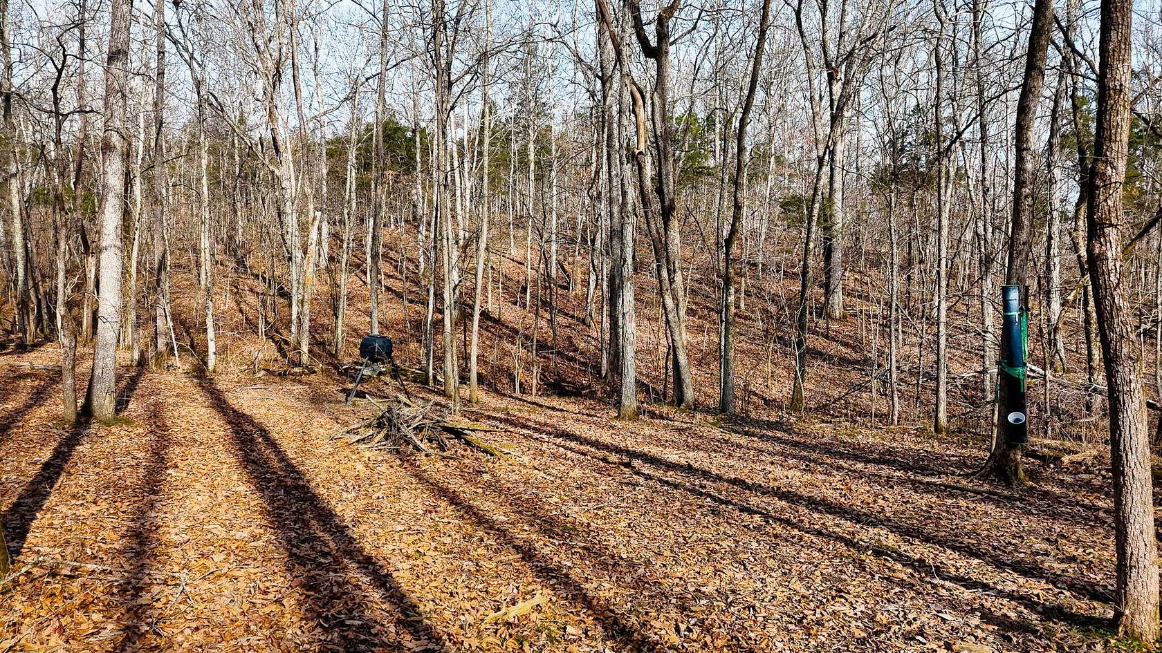 29.3 Acres of Recreational Land for Sale in Lawrenceburg, Kentucky