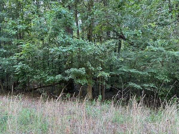 4.29 Acres of Residential Land for Sale in Macon, Georgia