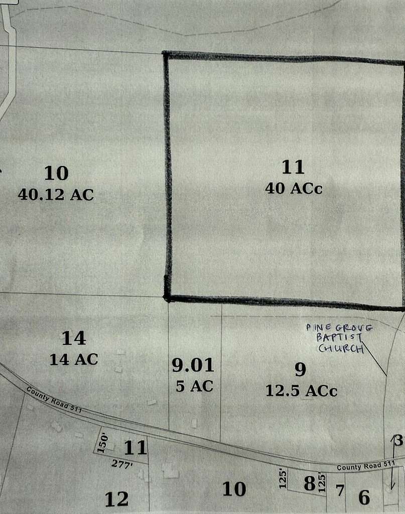 40 Acres of Land for Sale in Quitman, Mississippi