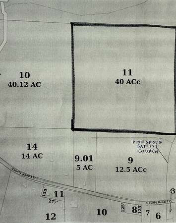 40 Acres of Land for Sale in Quitman, Mississippi