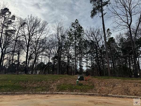 0.43 Acres of Residential Land for Sale in Texarkana, Texas