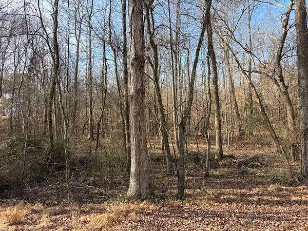 21.9 Acres of Land for Sale in Rock Spring, Georgia