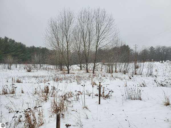 3.9 Acres of Residential Land for Sale in Prescott, Michigan