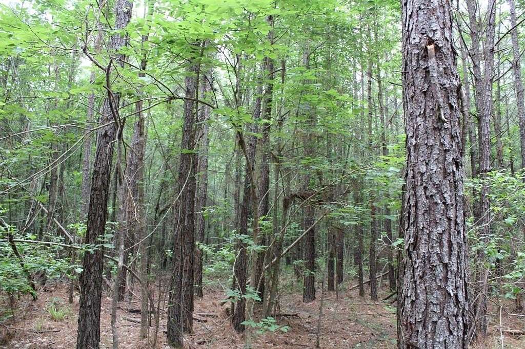 5.72 Acres of Residential Land for Sale in Plain Dealing, Louisiana