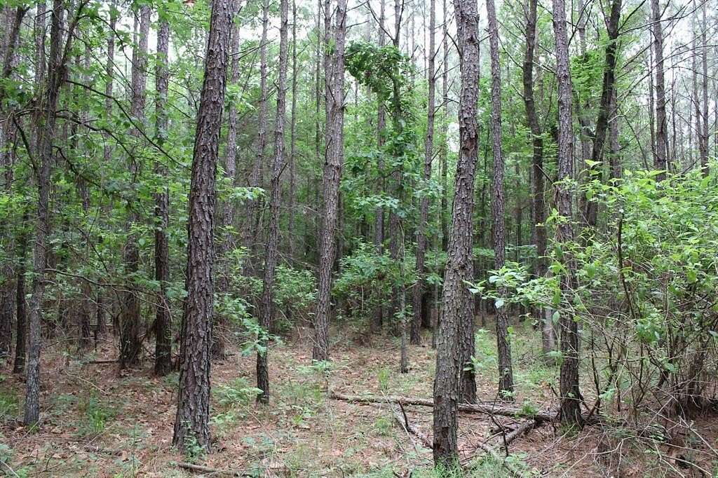 5.71 Acres of Residential Land for Sale in Plain Dealing, Louisiana