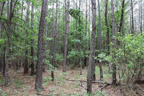 5.71 Acres of Residential Land for Sale in Plain Dealing, Louisiana