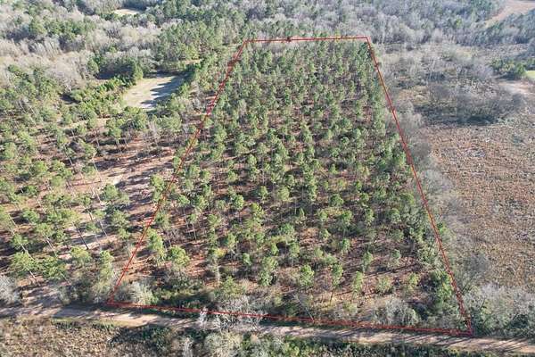 10 Acres of Residential Land for Sale in Beckville, Texas