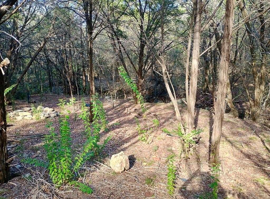 0.29 Acres of Residential Land for Sale in Granbury, Texas