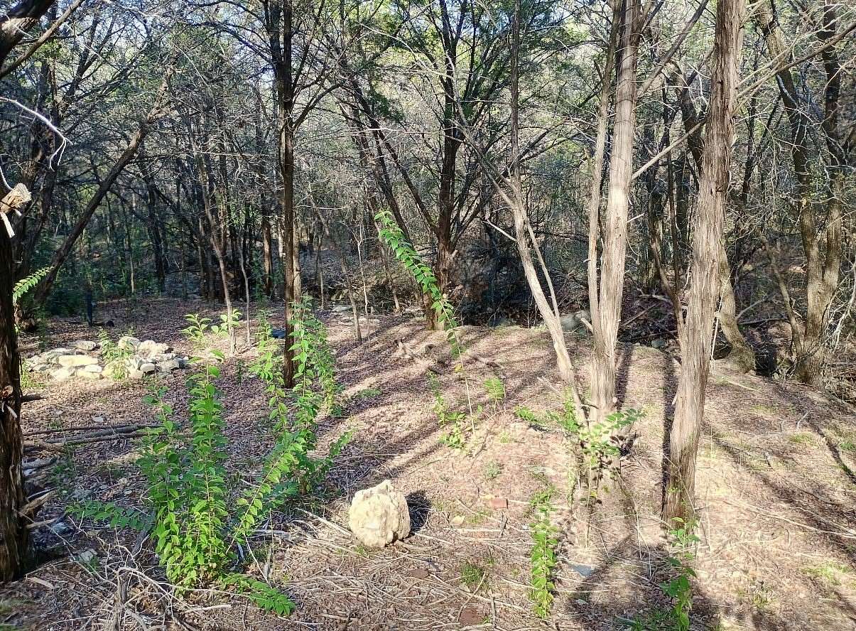 0.29 Acres of Residential Land for Sale in Granbury, Texas