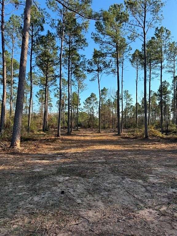 10 Acres of Recreational Land for Sale in Beckville, Texas