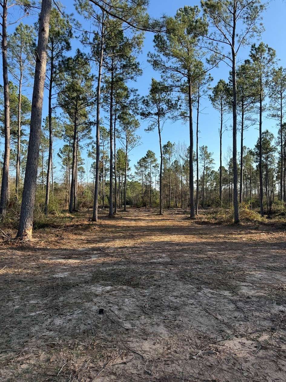 10 Acres of Recreational Land for Sale in Beckville, Texas