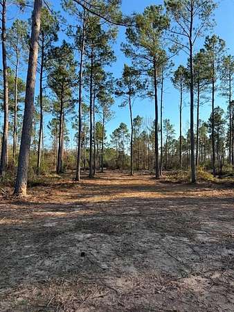 10 Acres of Recreational Land for Sale in Beckville, Texas