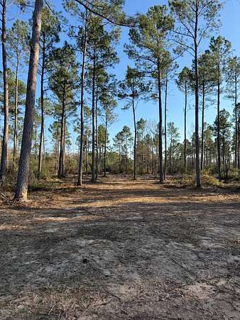 10 Acres of Recreational Land for Sale in Beckville, Texas