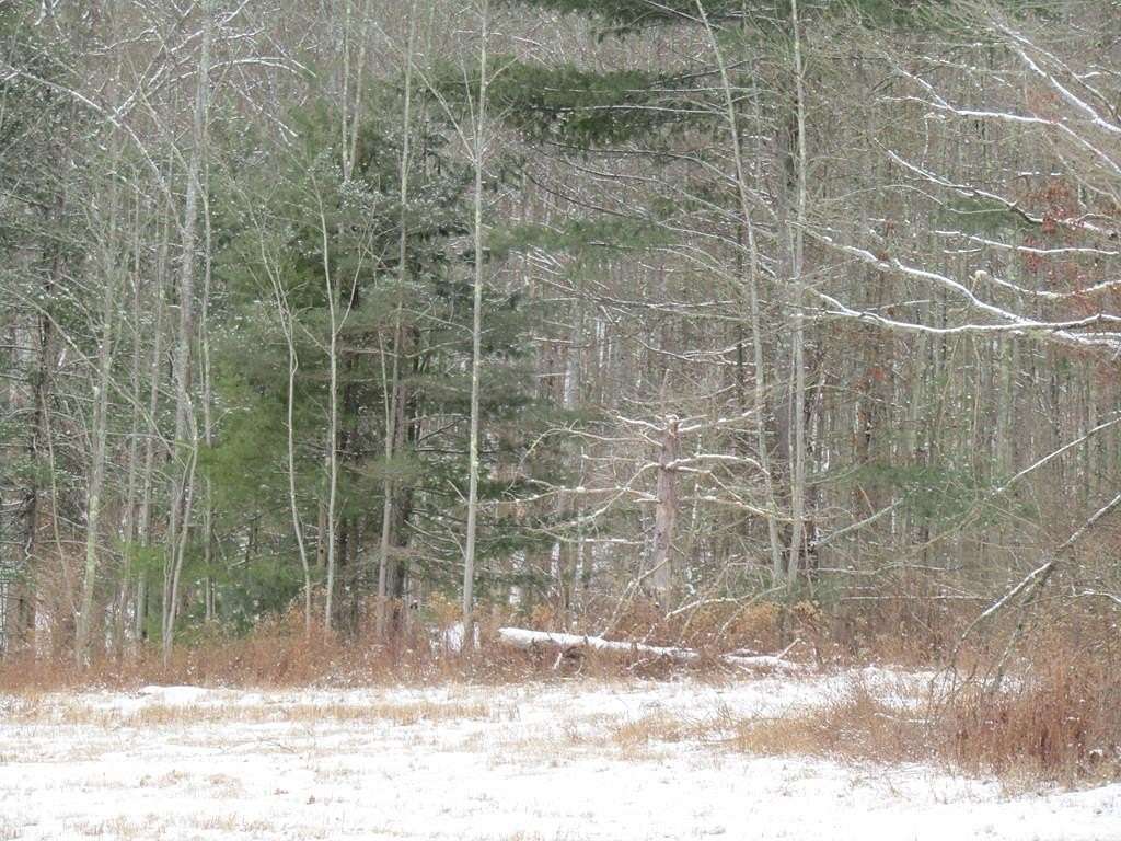 30 Acres of Recreational Land & Farm for Sale in Pine City, New York