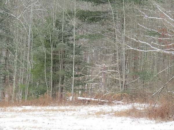 30 Acres of Recreational Land & Farm for Sale in Pine City, New York