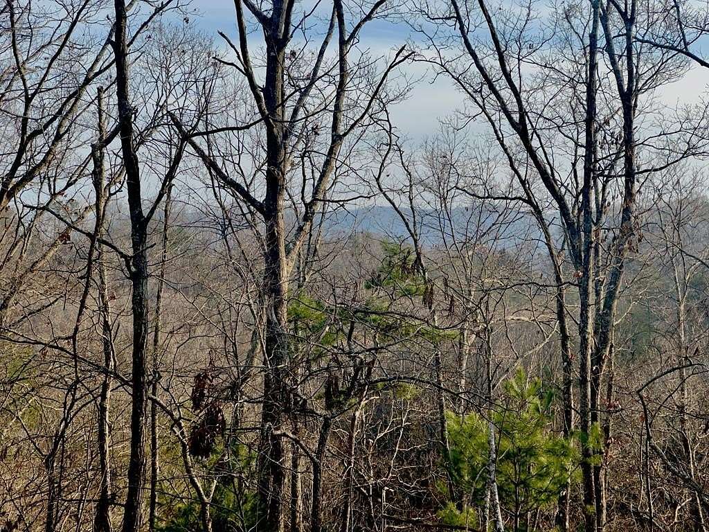 1.5 Acres of Land for Sale in Blue Ridge, Georgia